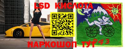 гашик Можга