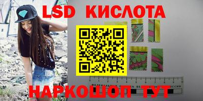 гашик Можга