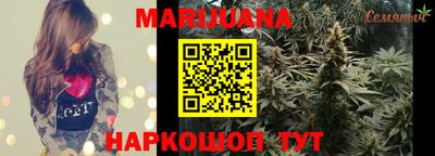 шишки Моздок