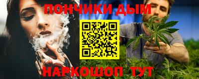 гашик Можга