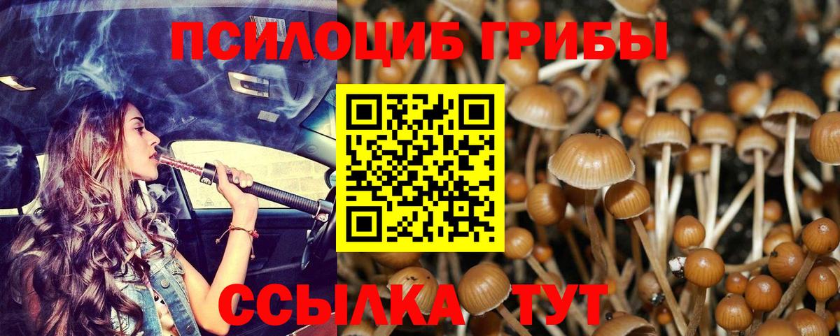 Галлюциногенные грибы MAGIC MUSHROOMS  Вход с VPN  Сызрань 